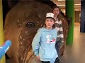 Teddybeer