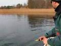 Gadd fiske Fishing