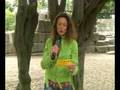 FRIZZ.TV Südpfalz 13/2008 - 40 Jahre ANTI TANK GUN