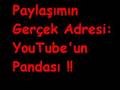 Yavuz Bing�l   Yalg�zam