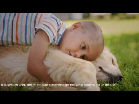 Image de prévisualisation YouTube