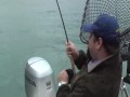 King Salmon Fishing