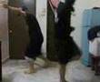 REYY BIRDS LIQUID STYLE