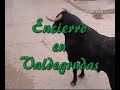 Valdegrudas, encierros 2006