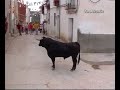 Valdegrudas, encierros 2006