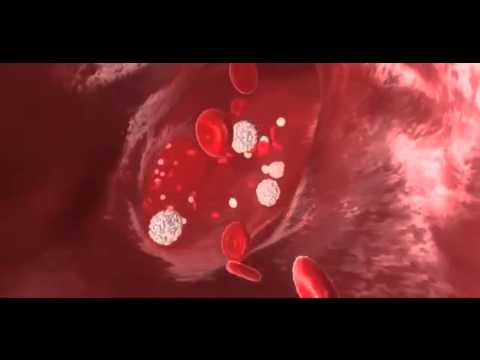 how to control ghrelin and leptin