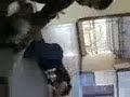 FUNY SPEACH RAVI & ARUL.mp4