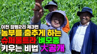 토생수