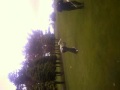 whvgolf6 whvgolf6