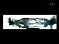 Bullet in slow motion