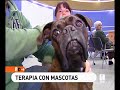 Centro de terapias asistidas con animales