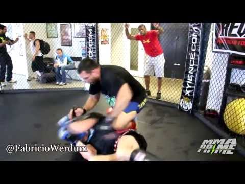 TUF 2 Brazil Fabricio Werdum vs Nogueira (Big Nog)