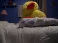 videos de The Ducky Show: Ducky Goes On His Blind Date!