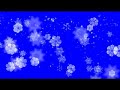 1080P High Definition HDV Backgrounds - Snow Flakes 1080P High Definition HDV Backgrounds - Snow Flakes