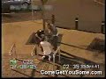 BAGARRES COM Vidéo - Streetfight - Tabassé et poignardé BAGARRES COM Vidéo - Streetfight - Tabassé et poignardé