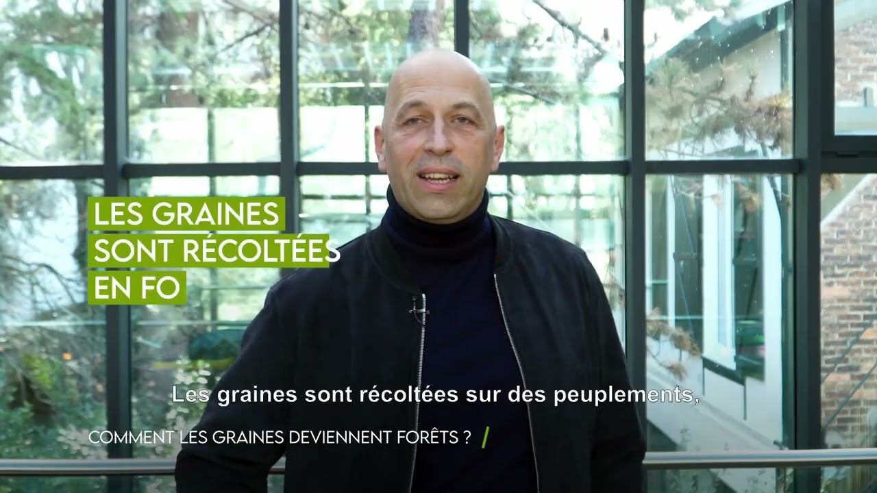 🌳 2/6 Comment les graines deviennent forêts ? #MinuteInfo