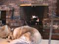 Fireside Fantasy Reading II - Soulstealer War