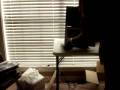 videos de Take 2 U Tube Video 001