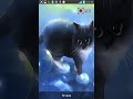 Cat Live Wallpaper trailer