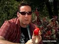 SciFi Department - Attack of the Super-Plants! SciFi Department - Attack of the Super-Plants!