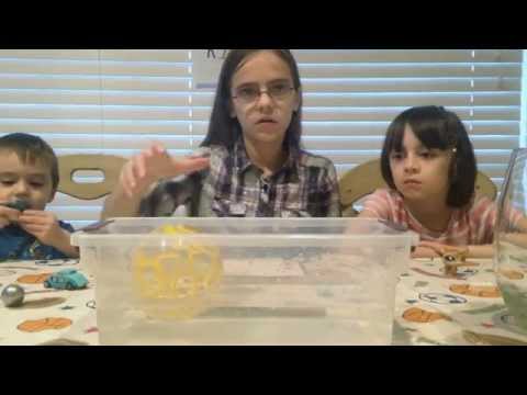 how to explain sink and float to kindergarteners