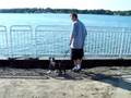 RUFUS,training,socialization