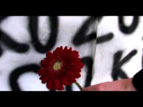 TV ad "Donate a flower"