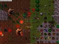 Tibia Galana Oen Die.