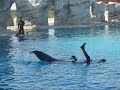 Giochi in acqua a Oltremare in settembre 2007