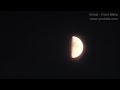 Click here to watch this video Nature and Trees - Moon in Morning & Night