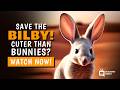 Australian Easter Bunny the endangered bilby