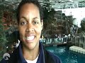 Shedd Aquarium Trainer Diary #2