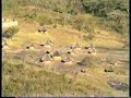 Zimbabwe - The Great Zimbabwe Ruins Zimbabwe - The Great Zimbabwe Ruins