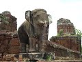 Cambodia #15 - Angkor Temples and Khmer music
