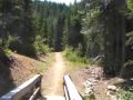 2009-08-05 | Bridge at Whistler ~> this is from the Mtn Bike park at Whistler Mountainthis summer 09 (1:58)