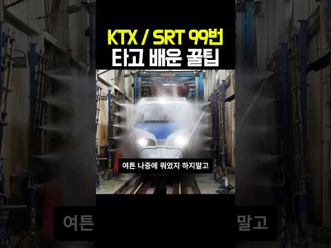 KTX, SRT만 99번 타보고 배운 꿀팁