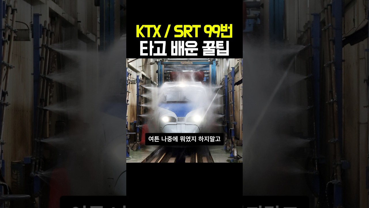 KTX, SRT만 99번 타보고 배운 꿀팁