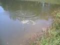 fishing today