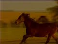Bijelo Dugme - Pozurite konji moji, Pjesma mom mladjem bratu