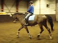 Cortini Dressage