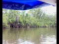 Igarapé Amazônia Igarapé Amazônia