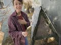 Missoula Chicken controversy