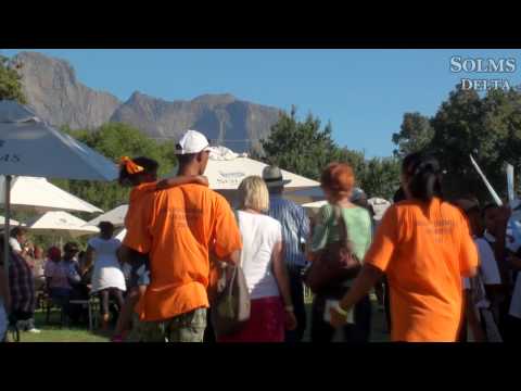 Solms Delat Explained