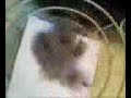1130081626.3g2