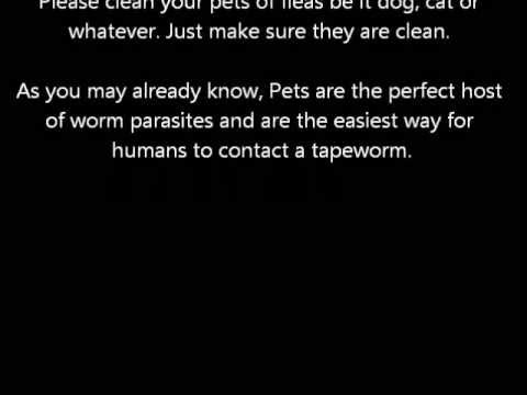 how to get rid tapeworms