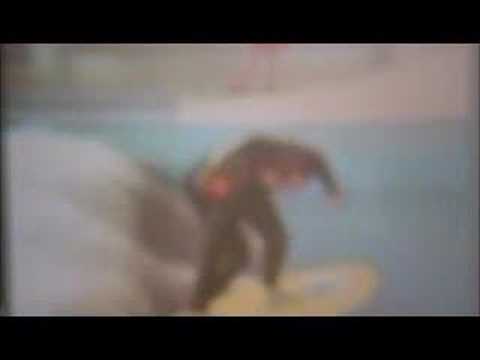 Surfing for H.R.H The Queen at ...