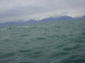 videos de Orca attack on young humpback  #3 Coordination