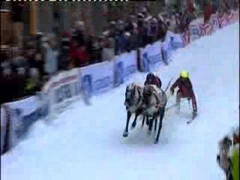 Reindeer-race from Northern Norway