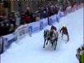 Reindeer-race from Northern Norway