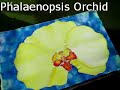 Silk painting - Another orchid